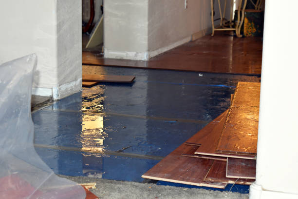 Professional Water Damage Restoration technician working in Hereford, TX